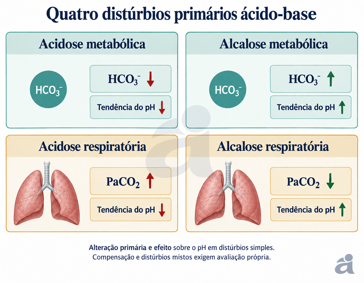 Acidose metabólica: bicarbonato cai e pH tende a cair. Alcalose metabólica: bicarbonato sobe e pH tende a subir. Acidose respiratória: PaCO2 sobe e pH tende a cair. Alcalose respiratória: PaCO2 cai e pH tende a subir.